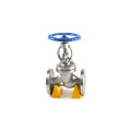 API CE industrial steam water stainless steel gs c25 forged globe valves flange 300lb